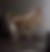 a dog scratching at the door waiting for their owner to come home