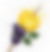 A watercolour illustration of blackberries and a lemon with a stick piercing them.