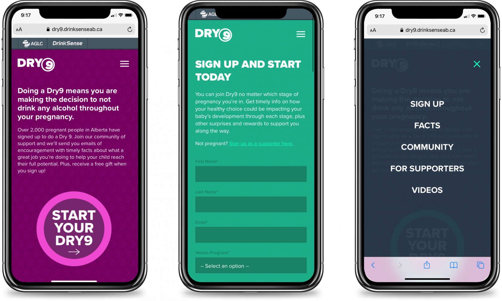 Three phone mockups with the Dry9 website on them